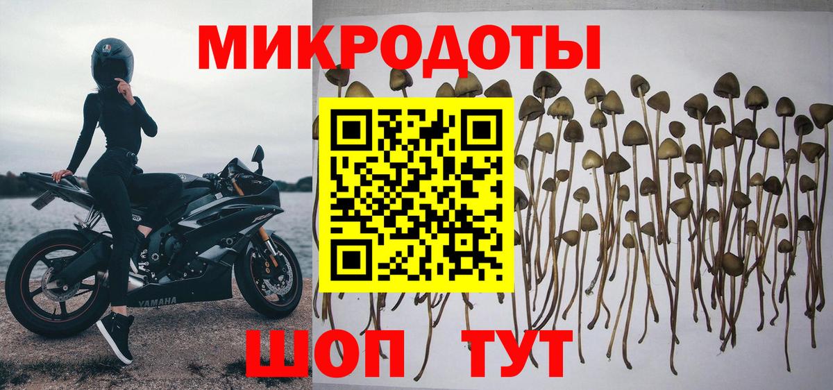 Галлюциногенные грибы ЛСД Кохма